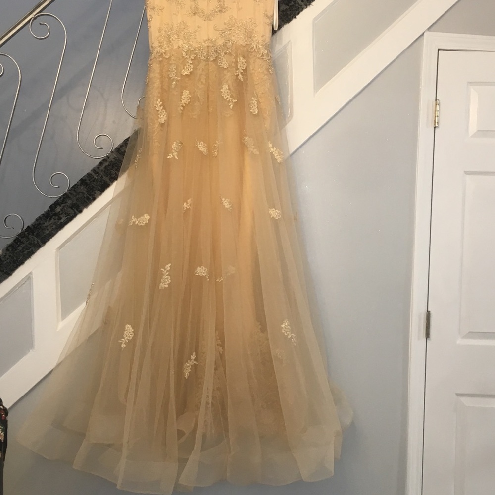 Gold Lace Appliqué Tulle Evening Gown - Women
